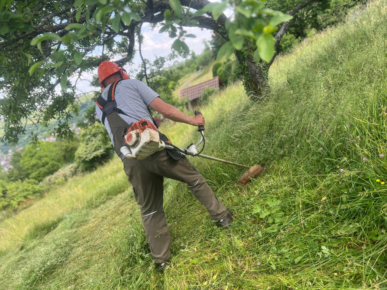 Sejdiu Dienstleistungen Team